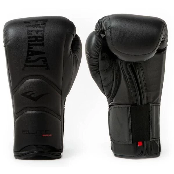 Everlast Elite 2020 Training Boxing Gloves - Velcro