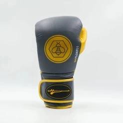 Honey Punch Float G1 Series Pro Spar Boxing Gloves