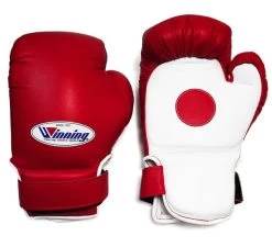 Winning CM-30 Combination Punch Mitts
